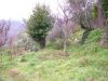anteprima foto 7 Casa indipendente Vendita Marzano Appio