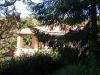 Casa indipendente Vendita Molvena 