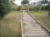 anteprima foto 3 Casa indipendente Vendita Montebello Di Bertona