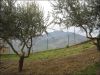 anteprima foto 10 Casa indipendente Vendita Montedinove