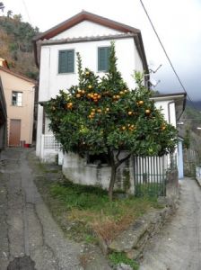 foto Casa indipendente Vendita Montignoso