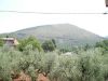 anteprima foto 6 Casa indipendente Vendita Pastena