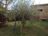 anteprima foto 7 Casa indipendente Vendita Pianella