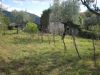anteprima foto 2 Casa indipendente Vendita Picinisco