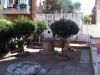 anteprima foto 4 Casa indipendente Vendita Piombino