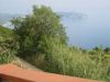 Casa indipendente Vendita Pisciotta 