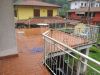 anteprima foto 5 Casa indipendente Vendita Pogno