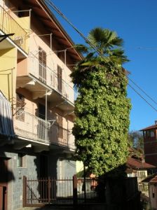 foto Casa indipendente Vendita Soprana