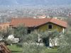 Casa indipendente Vendita Teggiano 