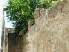 anteprima foto 6 Casa indipendente Vendita Tiggiano