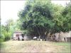 anteprima foto 4 Casa indipendente Vendita Venarotta