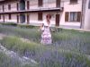 anteprima foto 10   Vignate