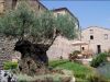 anteprima foto 3 Palazzo / Stabile Vendita Montefalcone Appennino