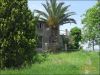 anteprima foto 1 Rustico / Casale Vendita Acquaviva Picena