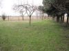 anteprima foto 3 Rustico / Casale Vendita Aquileia