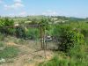 anteprima foto 10 Rustico / Casale Vendita Aramengo