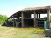 anteprima foto 9 Rustico / Casale Vendita Aramengo