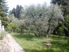 anteprima foto 8 - Rustico / Casale in Vendita a Bagno A Ripoli