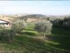 anteprima foto 8 Rustico / Casale Vendita Bellante