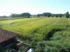 anteprima foto 6 Rustico / Casale Vendita Bollengo