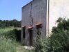 anteprima foto 3 Rustico / Casale Vendita Borgetto