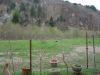 anteprima foto 10 Rustico / Casale Vendita Bormida