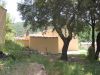 anteprima foto 2 Rustico / Casale Vendita Bortigiadas