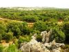 anteprima foto 5 Rustico / Casale Vendita Calangianus