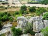 anteprima foto 9 Rustico / Casale Vendita Calangianus