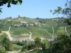 anteprima foto 4 Rustico / Casale Vendita Calosso