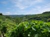 anteprima foto 9 Rustico / Casale Vendita Calosso