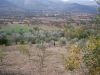 anteprima foto 6 Rustico / Casale Vendita Capestrano