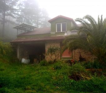 foto Rustico / Casale Vendita Cardinale