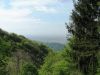 anteprima foto 9 Rustico / Casale Vendita Carenno