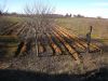 anteprima foto 3 Rustico / Casale Vendita Carru'