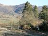 anteprima foto 5 Rustico / Casale Vendita Castel Focognano
