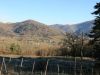 anteprima foto 7 Rustico / Casale Vendita Castel Focognano