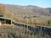 anteprima foto 8 Rustico / Casale Vendita Castel Focognano
