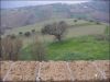anteprima foto 4 Rustico / Casale Vendita Castellalto