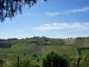 anteprima foto 9 Rustico / Casale Vendita Castelnuovo Calcea