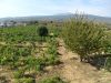 anteprima foto 6 Rustico / Casale Vendita Castiglione Di Sicilia