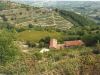 anteprima foto 10 Rustico / Casale Vendita Castino