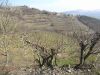 anteprima foto 5 Rustico / Casale Vendita Castino