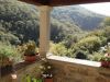 anteprima foto 5 Rustico / Casale Vendita Chitignano