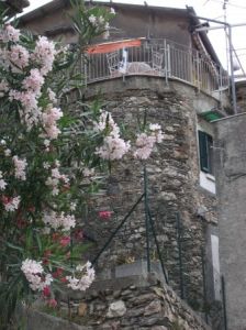 foto Rustico / Casale Vendita Erli