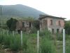 anteprima foto 4 Rustico / Casale Vendita Faicchio