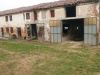 anteprima foto 2 Rustico / Casale Vendita Fratta Polesine
