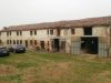 anteprima foto 3 Rustico / Casale Vendita Fratta Polesine