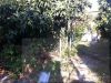 anteprima foto 10 Rustico / Casale Vendita Giustenice