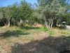 anteprima foto 3 Rustico / Casale Vendita Introdacqua